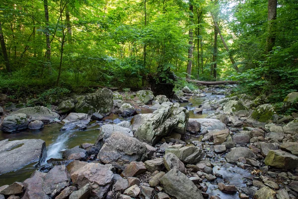 Floresta Verde Natureza Fundo Com Grandes Pedras Cinzentas Água Fluindo — Fotografia de Stock