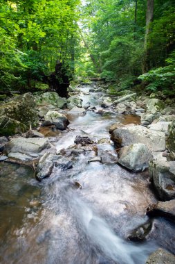Dikey uzun pozlama yeşil ormanlık alan arka plan çekim büyük gri taşlar ve su arka planda bir ağaç yaya köprüsü ile bir derede akmaktadır. İnsansız doğal ışık ve kopyalama alanı.