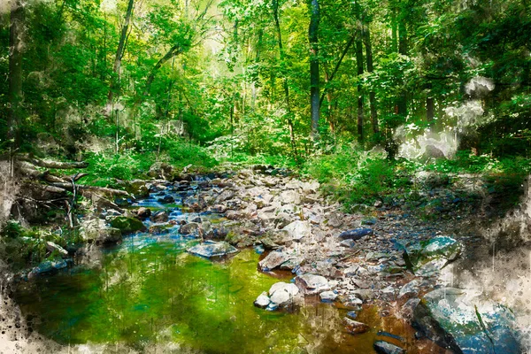 Beautiful Serene Nature Scene Calm Stream Lined Stones Reflecting Green — Stock Vector