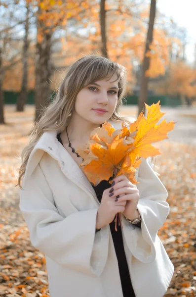 Mujer joven con hojas de otoño. —  Fotos de Stock