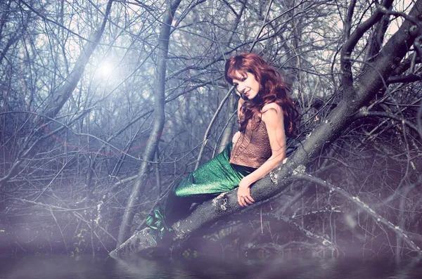 Mermaid sits in a tree — Stock Photo, Image