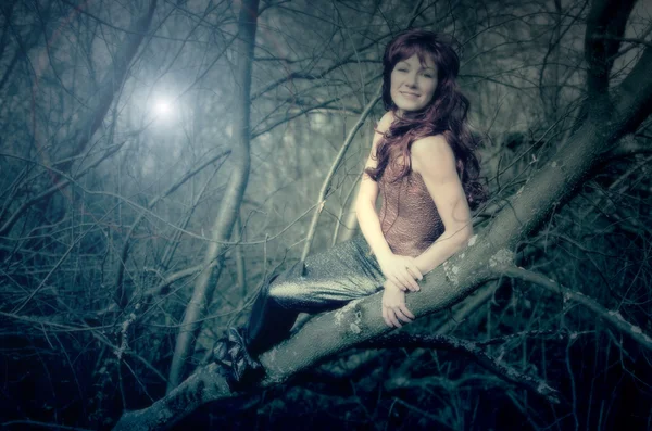 Mermaid sits in a tree — Stock Photo, Image