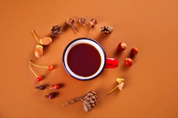 Herbstkomposition mit einem Becher Tee, trockenen Blättern, Zapfen, Eicheln, Beeren, Nüssen. Stockbild