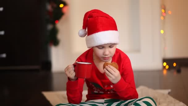 Chłopiec dzieciak w zabawny czerwony Santa czapka i Boże Narodzenie piżama siedzi na w kratę i pije kakao — Wideo stockowe