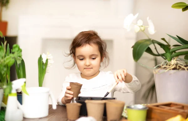 Садоводство. Маленькая девочка помогает ухаживать за домашними растениями, зеленой окружающей средой дома, сеет семена — стоковое фото