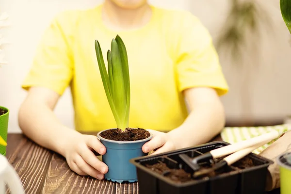 Jardinagem em casa. Menino ajudando a cuidar de plantas em casa, ambiente verde em casa — Fotografia de Stock