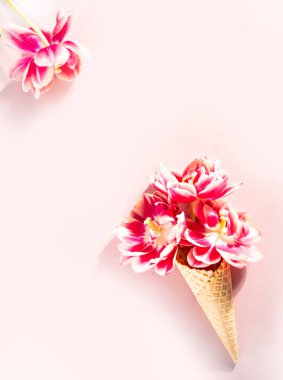 Pembe çiçekli ve yapraklı dondurma külahı. Yaz kavramı. Düz yatıyordu.