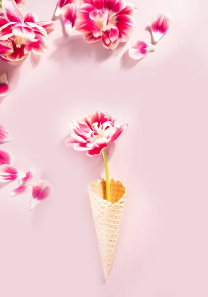 Stożek lodowy z różowymi kwiatami i płatkami. Koncepcja lata. Układy płaskie. — Zdjęcie stockowe