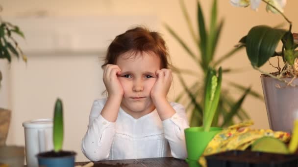 Förtjusande liten flicka som gör narr av mig. Liten flicka som hjälper till att ta hand om hem växter, grön miljö hemma och något missnöjd. — Stockvideo