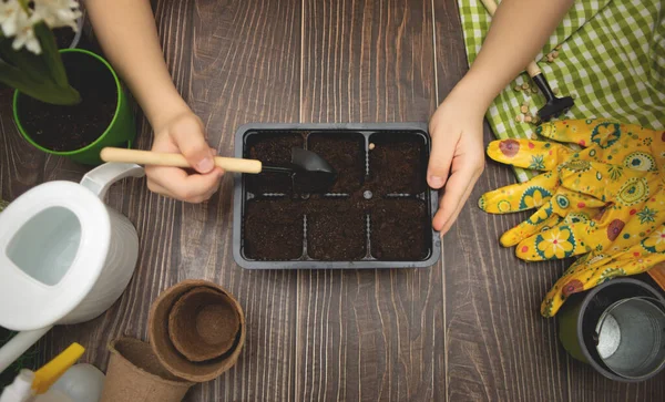 Home gardening. Kid hand planting seeds. Top view. — Stock Photo, Image