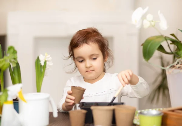 Садоводство. Маленькая девочка помогает ухаживать за домашними растениями, зеленая среда дома — стоковое фото