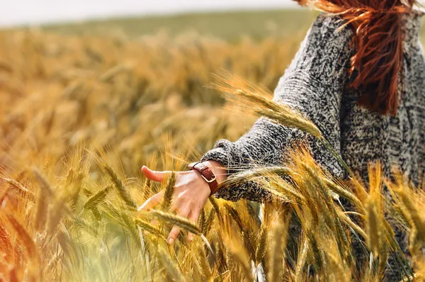 Joven mano en un campo de trigo como concepto de cosecha Fotos De Stock Sin Royalties Gratis