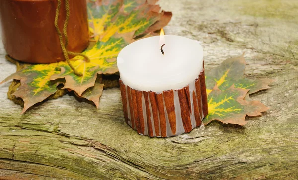 Natura morta autunnale su sfondo di legno — Foto Stock