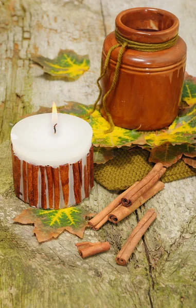 Autumn still-life on wooden background for Thanksgiving — Stock Photo, Image