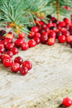 cranberries ile Noel arka plan