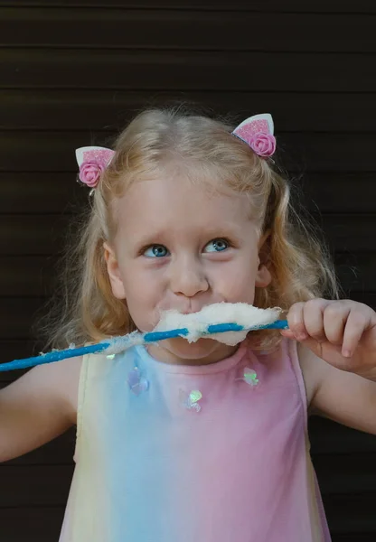 Pequena Menina Engraçada Feliz Com Algodão Doce Brincando Parque Diversões Imagens Royalty-Free