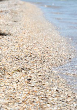 Beach in summer. Beach sand with wave. Pebbles and shells on the beach.