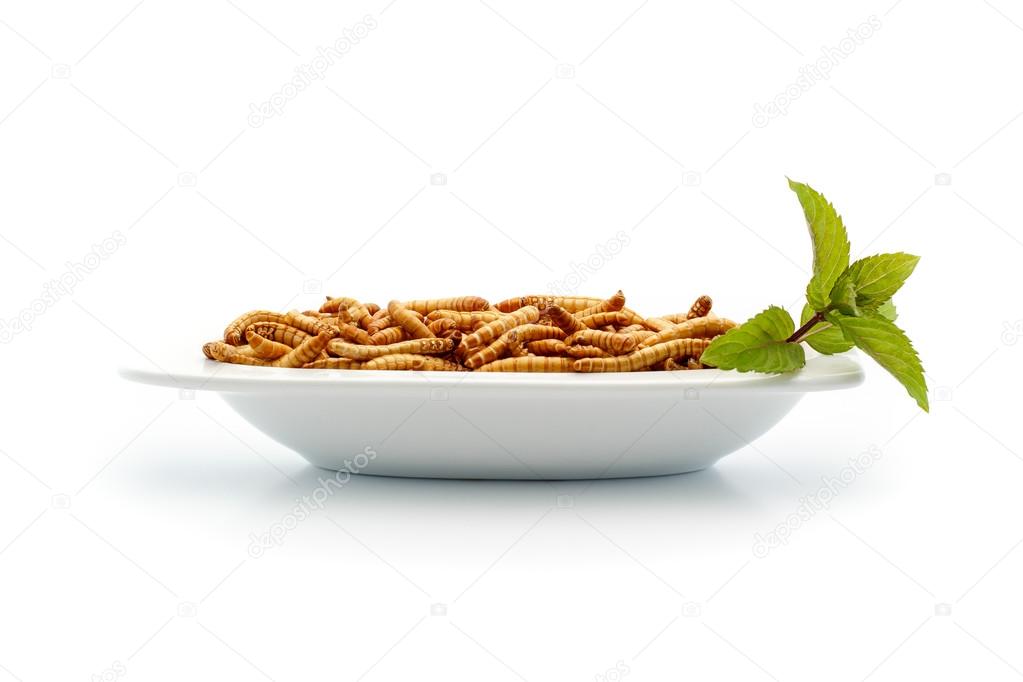 Healthy mealworms on small plate with decoration Stock Photo by ©phodo