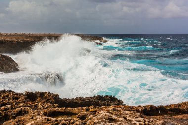 bonaire üzerinde sıçramasına dalgalar kayalar