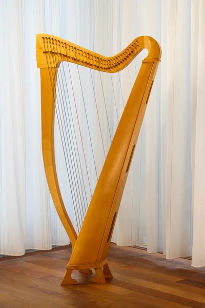 Celtic harp with strings standing — Stock Photo, Image