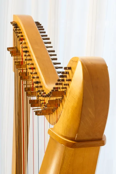 Celtic harp close-up with angle — Stock Photo, Image