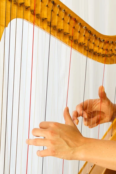 Hands playing celtic harp close-up — Stock Photo, Image