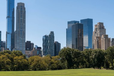 Central Park 'ta yeşil çimenlik ve Manhattan gökdelenleri gündüz vakti, New York City, ABD