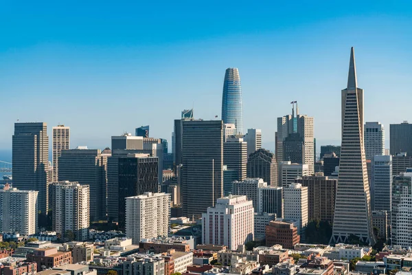 Panoramiczny widok na panoramę San Francisco w jasny niebieski letni dzień z Coit Tower, dzielnicy finansowej i dzielnic mieszkalnych, Kalifornia, Stany Zjednoczone. — Zdjęcie stockowe