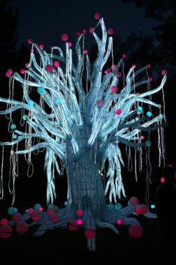 Cleveland, Ohio 4 Ağustos 2019: Asya Fener Festivali Cleveland Metroparks Hayvanat Bahçesinde sergileniyor.