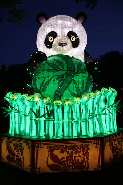 Cleveland Ohio Agosto 2019 Asian Lantern Festival Silk Pandas Exibição — Fotografia de Stock