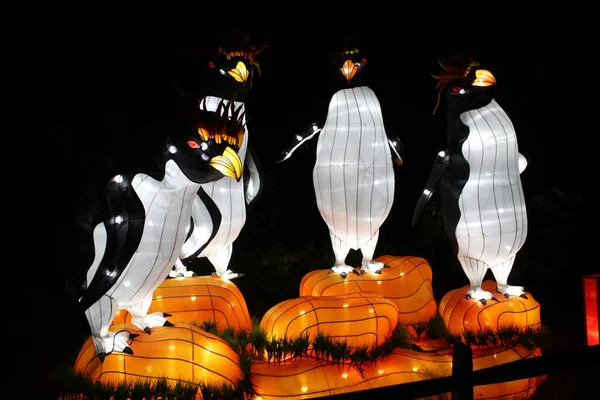 Cleveland Ohio Agosto 2019 Festival Das Lanternas Asiáticas Exibição Zoológico — Fotografia de Stock