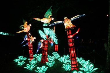 Cleveland, Ohio 4 Ağustos 2019: Asya Fener Festivali Cleveland Metroparks Hayvanat Bahçesinde sergileniyor.