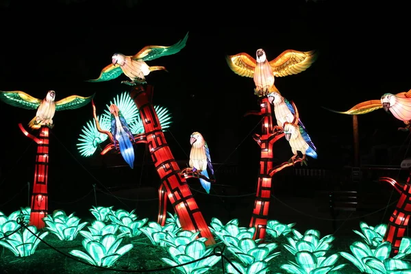 클리블랜드 2019 Asian Lantern Festival Display Cleveland Metroparks Zoo — 스톡 사진