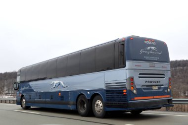 Washington DC / ABD 11 Mart 2019: Greyhound, Kuzey Amerika 'da 3,800' den fazla hedefe hizmet veren şehirlerarası bir otobüs taşımacısıdır..