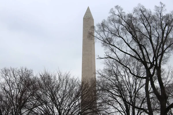 Washington Eua Março 2019 Washington Monument Washington Eua — Fotografia de Stock