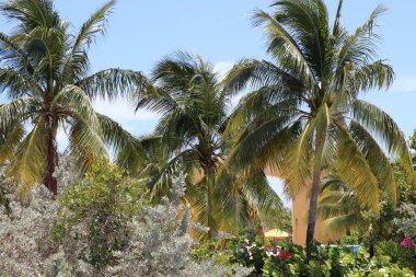 Half Moon Cay Bahamas 22 Mayıs 2019 Karayip Sahili Turizm Merkezi