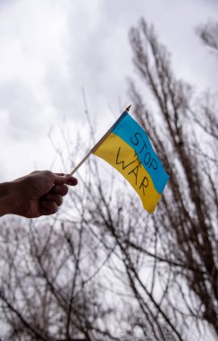 Bir adamın eli, gri bir gökyüzü ve ağaç dallarının arka planında 