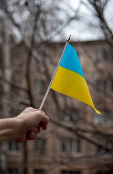 Кулак Чоловіка Тримає Український Прапор Палці Тлі Сірого Неба Гілок — стокове фото
