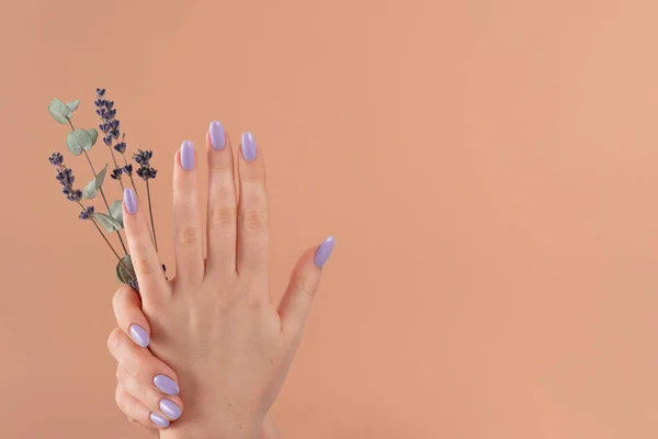 Hände Eines Schönen Gepflegten Mit Femininen Violetten Lavendelnägeln Gel Lack — Stockfoto