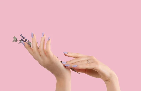 Руки Красивые Ухоженные Женским Фиолетовым Лавандой Ногтей Гель Лак Розовом — стоковое фото