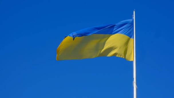 Флаг Украины Развевается Голубом Небе Большой Желто Синий Украинский Государственный — стоковое видео