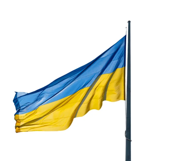 Флаг Украины Развевается Белой Изолированности Большой Желто Синий Украинский Государственный — стоковое фото
