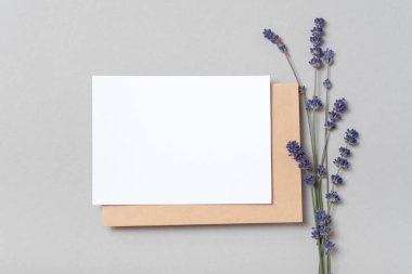 Gerçek fotoğraf. Kare şeklinde beyaz tebrik kartı modeli ve el işi zarfında da lavanta dalı var. Üst görünümü fotokopi alanı, pastel gri arkaplan. Markalaşma ve reklam şablonu