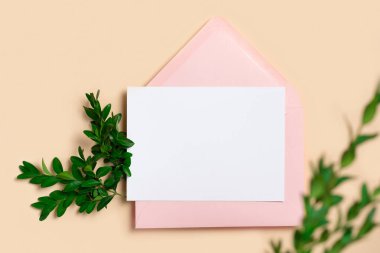 Gerçek fotoğraf. Pembe zarf kare davetiyesi beyaz tebrik kartı modeli ve bir kutu ağacı dalı. Fotokopi alanı olan üst manzara, pastel açık sarı bej arkaplan. Markalaşma ve reklam şablonu