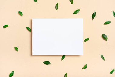 Gerçek fotoğraf. Kare şeklinde beyaz tebrik kartı modeli ve bir kutu ağacı dalı. Fotokopi alanı olan üst manzara, pastel açık sarı bej arkaplan. Markalaşma ve reklam şablonu