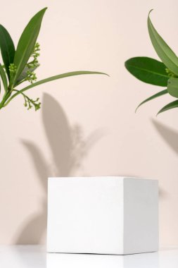 Podyum kozmetik ürünleri için yeşil eko yapraklı beyaz gözenekli alçı taşı küpü. Boş şablonu dikey olarak düzenle