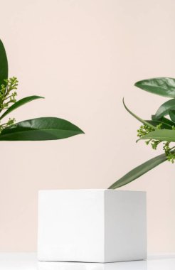 Podyum kozmetik ürünleri için yeşil eko yapraklı beyaz gözenekli alçı taşı küpü. Boş şablonu dikey olarak düzenle