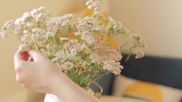 Menina Endireita Buquê Flores Silvestres Vaso Mesa — Vídeo de Stock