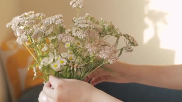 Menina Endireita Buquê Flores Silvestres Vaso Mesa — Vídeo de Stock