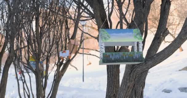 Moskva Februari 2022 Vacker Fågelmatare Som Hänger Parken Ett Träd — Stockvideo
